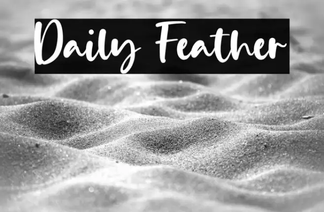 Daily Feather Example 1