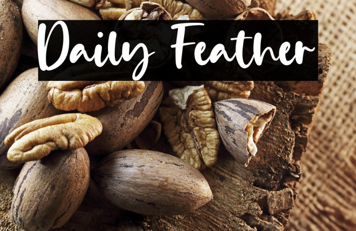 Daily Feather Example 2