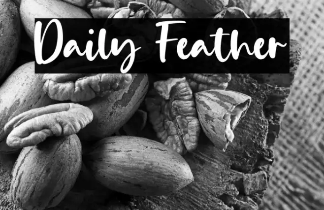Daily Feather Example 2