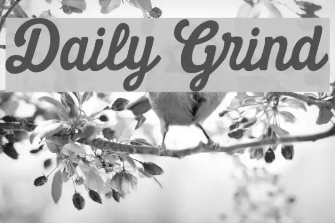 Daily Grind Example 2
