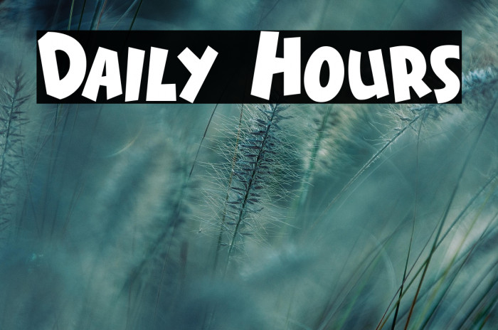 Daily Hours Example 2