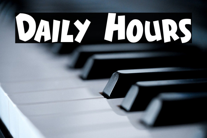 Daily Hours Example 3