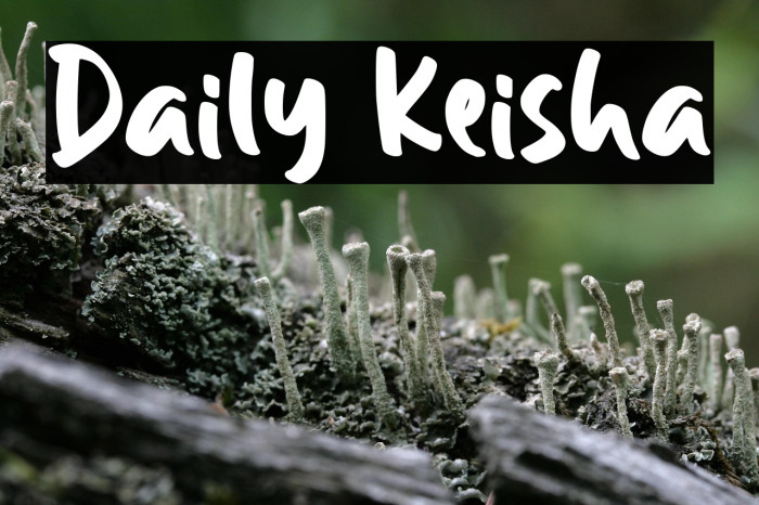 Daily Keisha Example 2