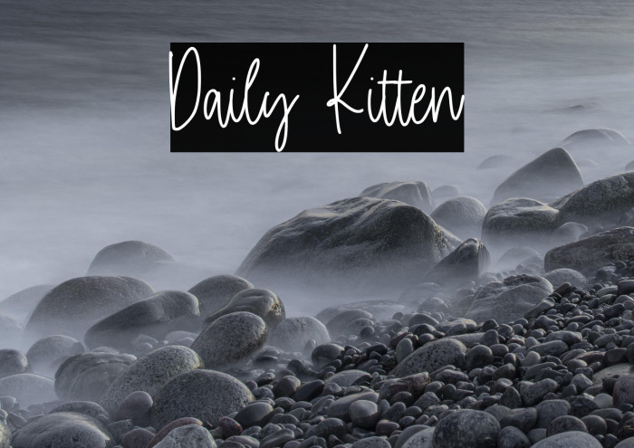 Daily Kitten Example 1