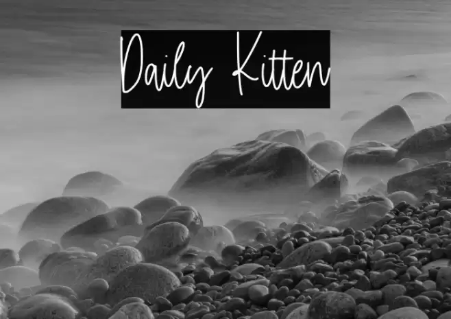 Daily Kitten Font examples