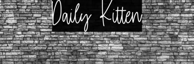 Daily Kitten Font examples