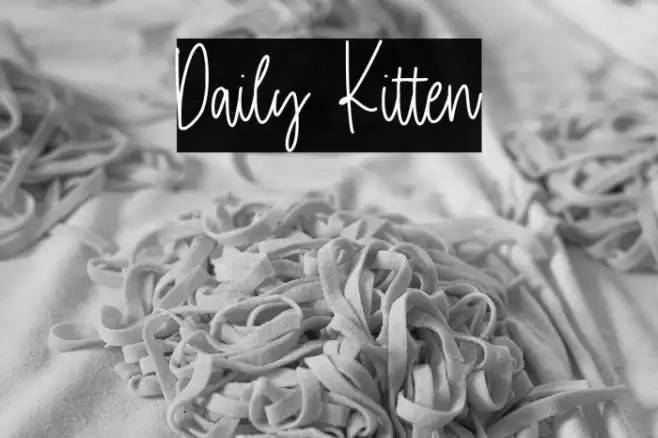 Daily Kitten Font examples