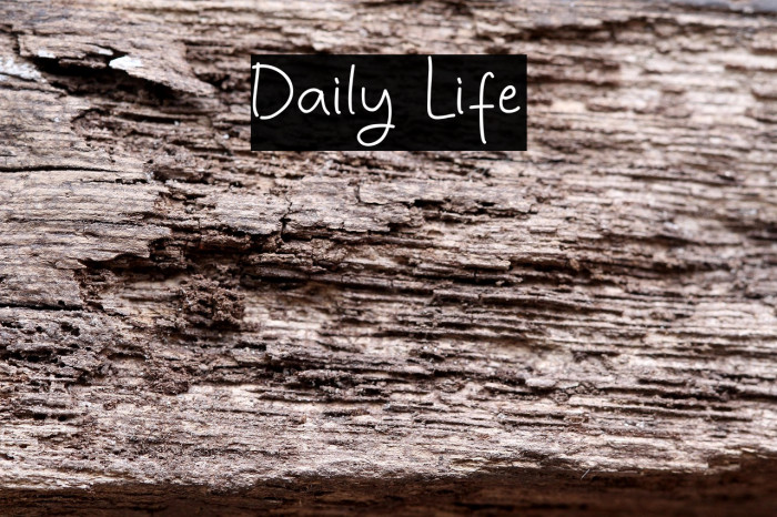 Daily Life Example 2