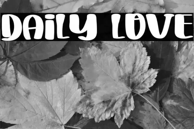 Daily Love Font examples