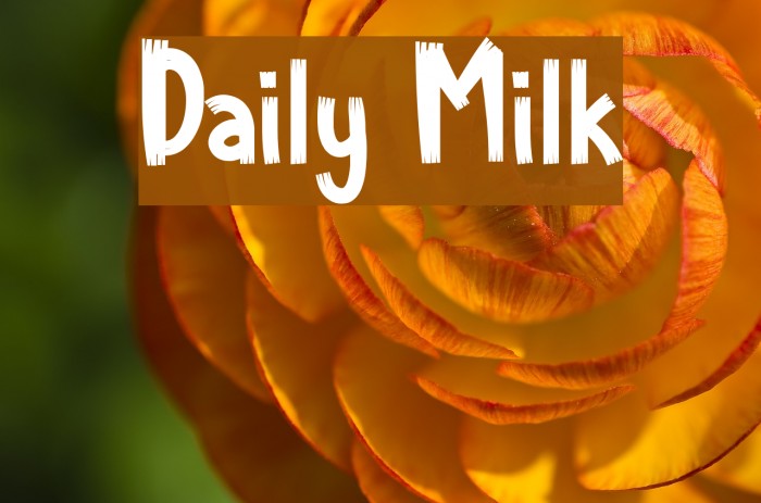 Daily Milk Font examples