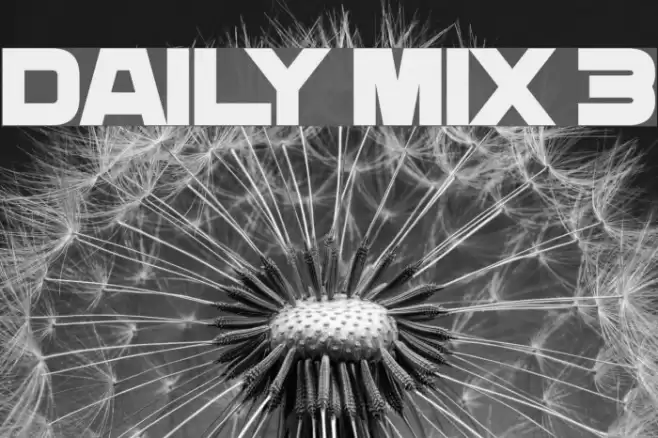 Daily Mix 3 Font examples