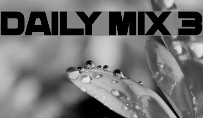 Daily Mix 3 Font examples