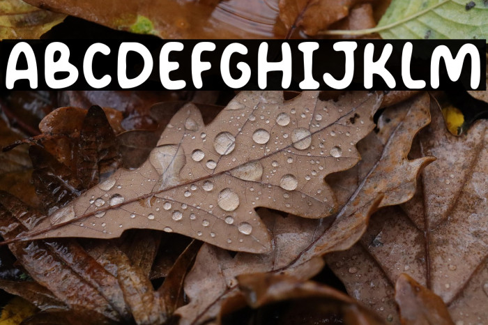 Daily Note  Example 2