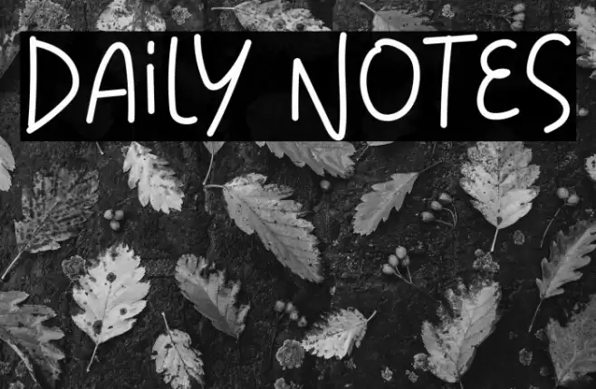 Daily Notes Font examples