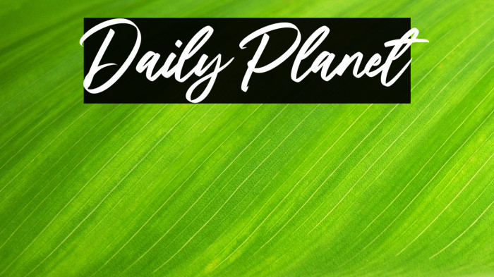 Daily Planet Example 1
