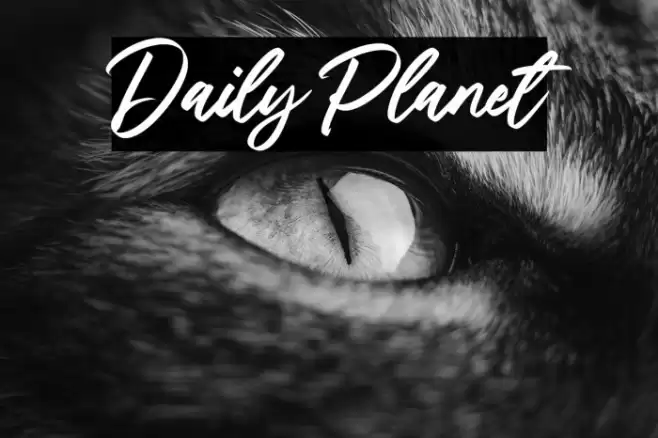 Daily Planet Font examples