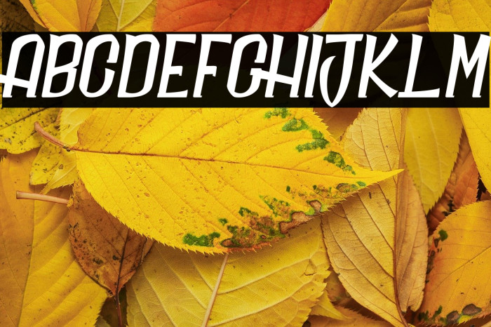 Daily Quantum_PersonalUseOnly Example 1