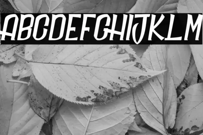 Daily Quantum_PersonalUseOnly Font examples