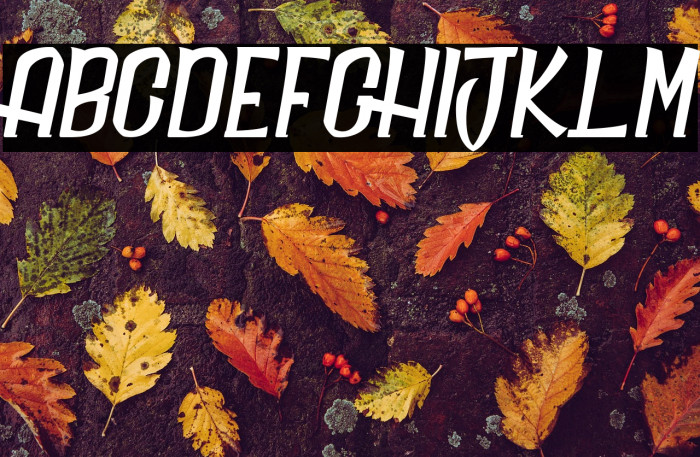 Daily Quantum_PersonalUseOnly Example 2