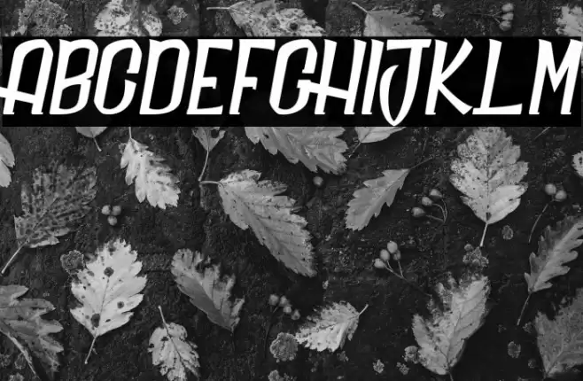 Daily Quantum_PersonalUseOnly Font examples