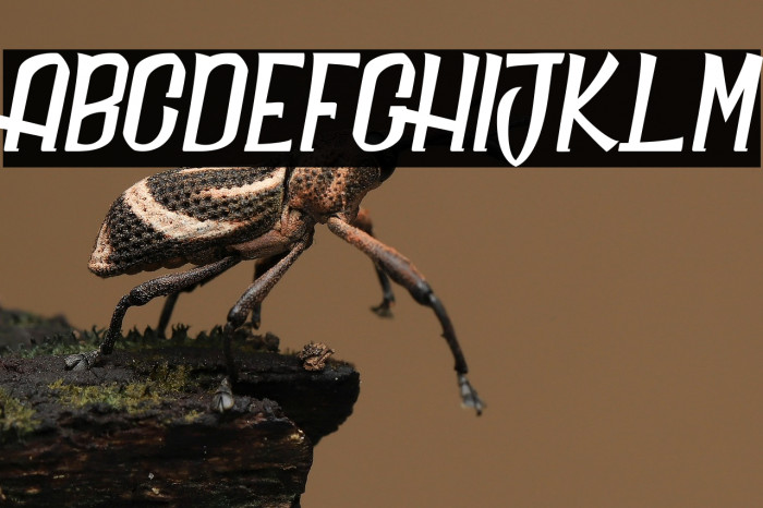 Daily Quantum_PersonalUseOnly Example 3