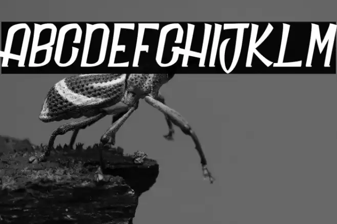 Daily Quantum_PersonalUseOnly Font examples