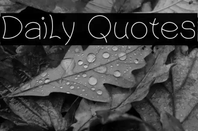Daily Quotes Font examples