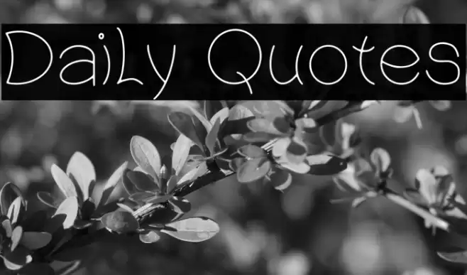 Daily Quotes Font examples