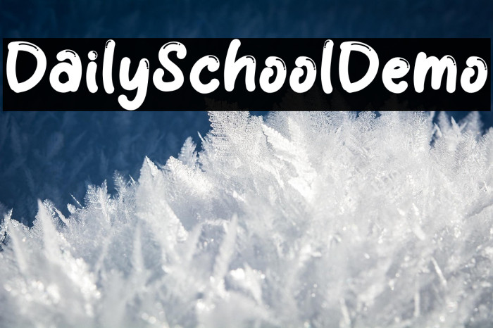 Daily School Demo Example 2