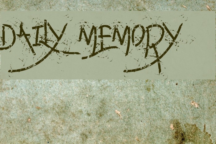 Daily memory Font examples