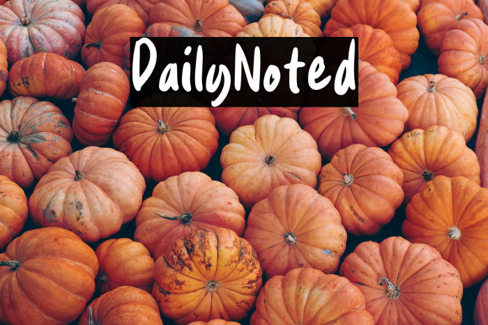 DailyNoted Example 1