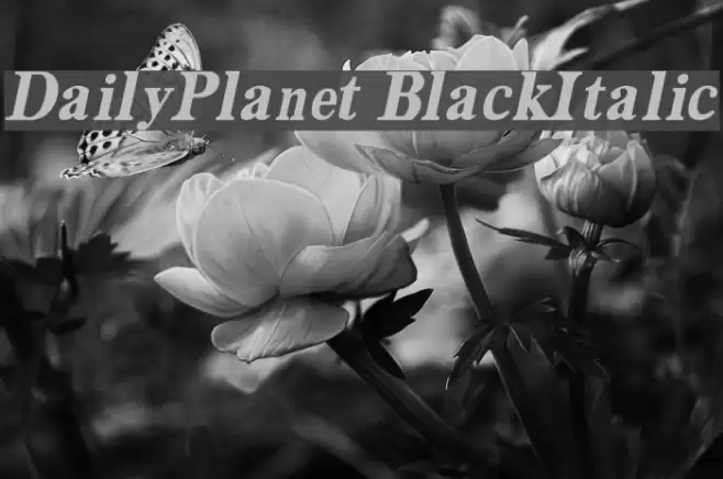 DailyPlanet BlackItalic Font examples