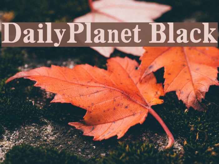 DailyPlanet Black Font examples