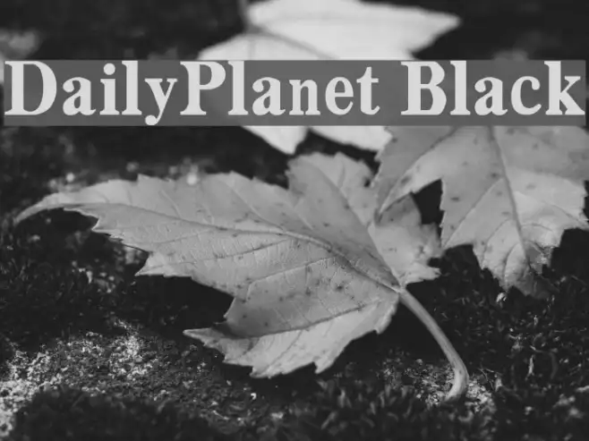 DailyPlanet Black Example 2