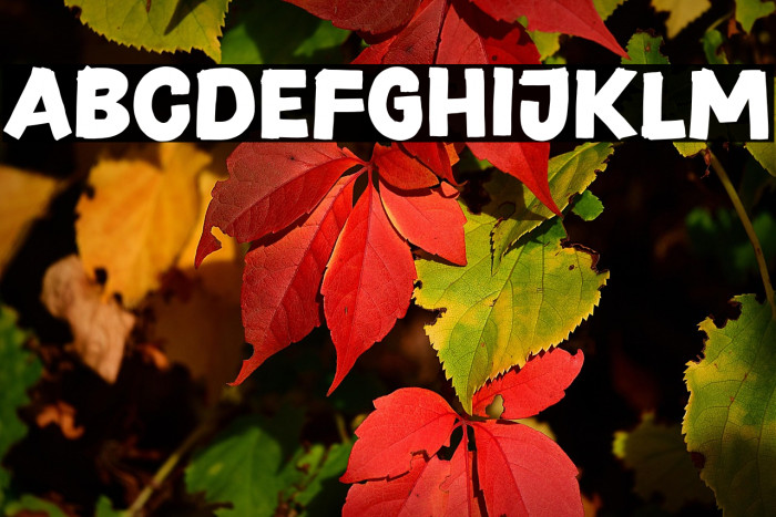 DailySparkSansDEMO Example 1