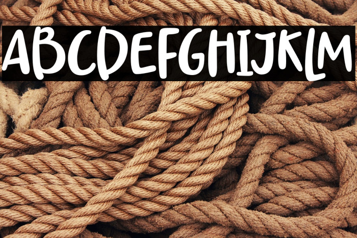 DailyWALKER Example 2