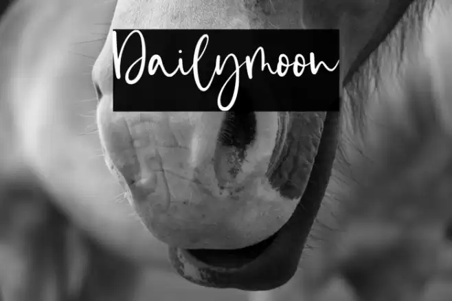 Dailymoon Font examples