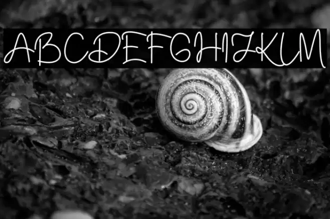 Dailymunt Font examples