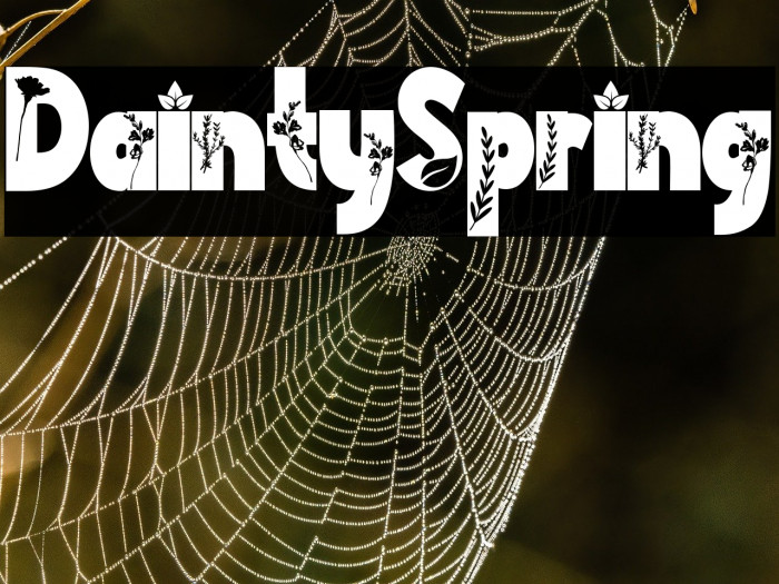 Dainty Spring Example 1