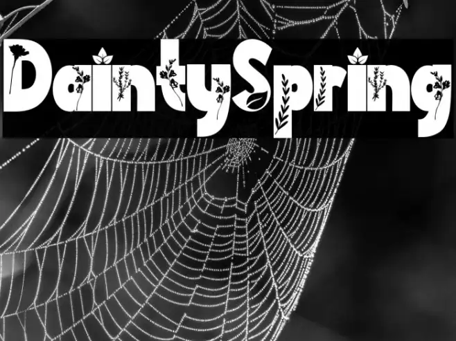 Dainty Spring Example 1