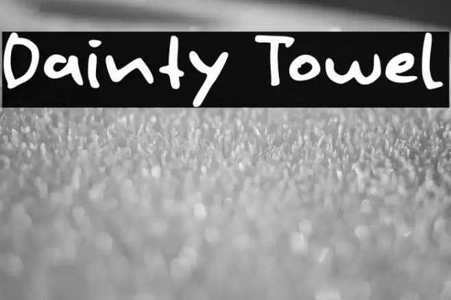 Dainty Towel Font examples