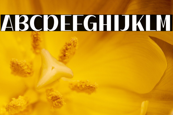 Dairy Cattle Solid Example 2