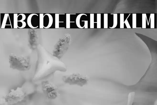 Dairy Cattle Solid Font examples