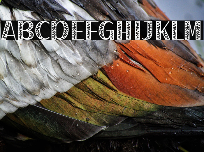 Dairy Cattle Example 2