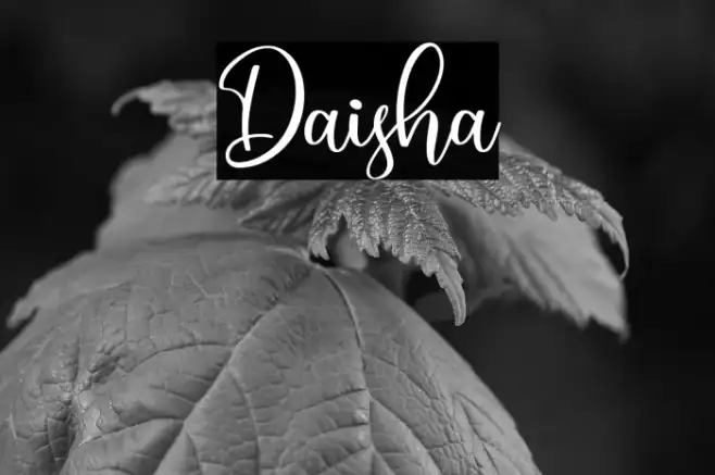 Daisha Example 2