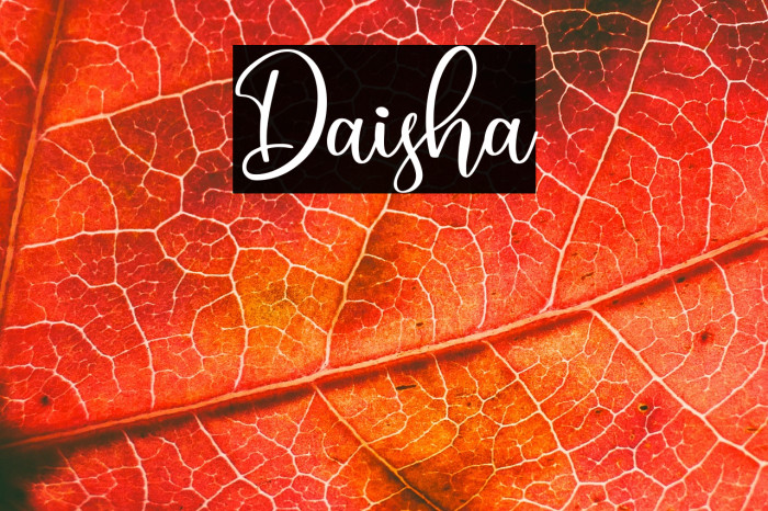 Daisha Example 3