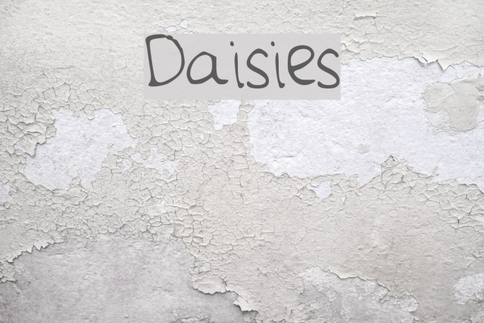 Daisies Font examples