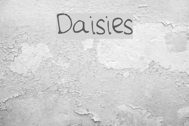 Daisies Example 1