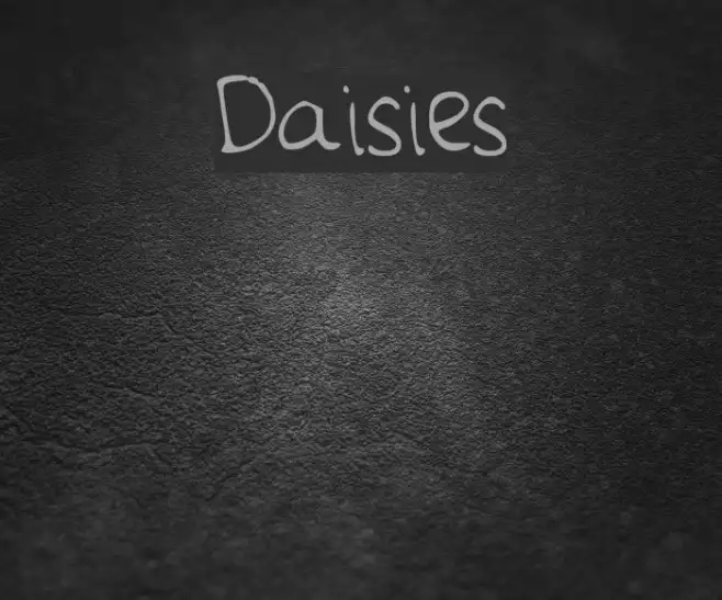 Daisies Example 2