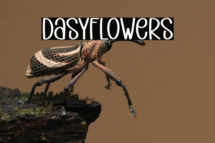 Daisy Flowers Example 3